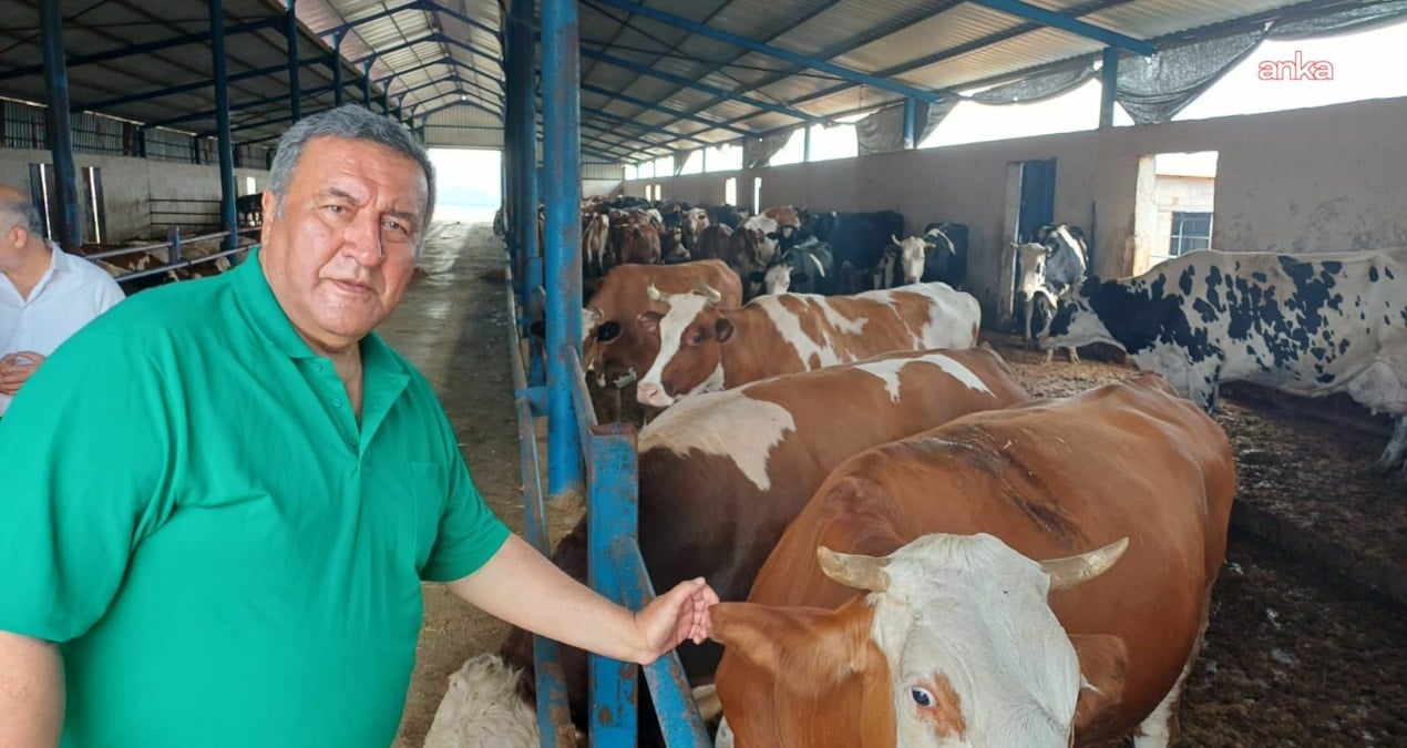 gurer et fiyatlarina isyan etti uretici degil ithalat kazaniyor efptyYD5.jpg