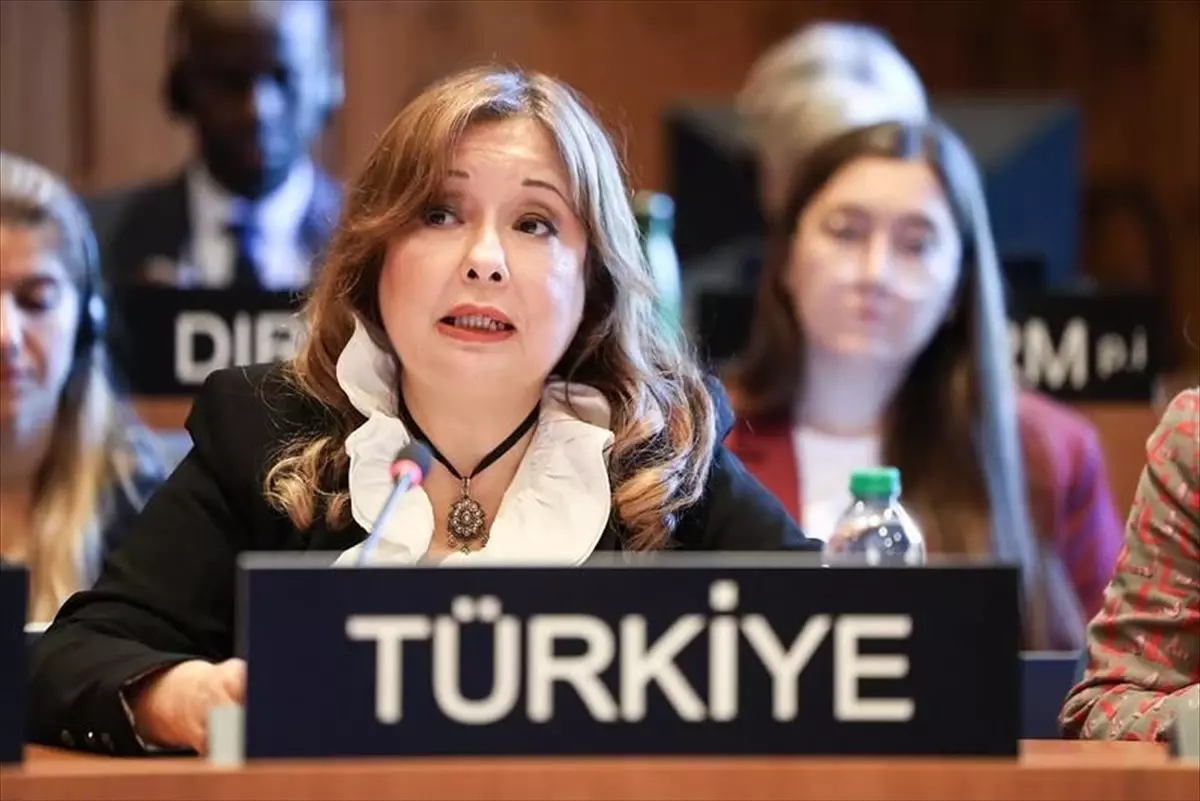 turkiyeden unrwaya destek vurgusu 2JeA52CI.jpg