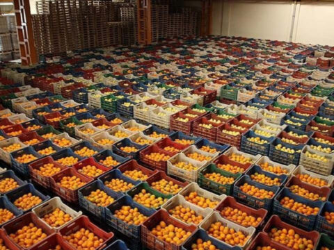 yas meyve sebze ve meyve sebze mamullerinde yeni hedef norvec RZsNhTtB.jpg