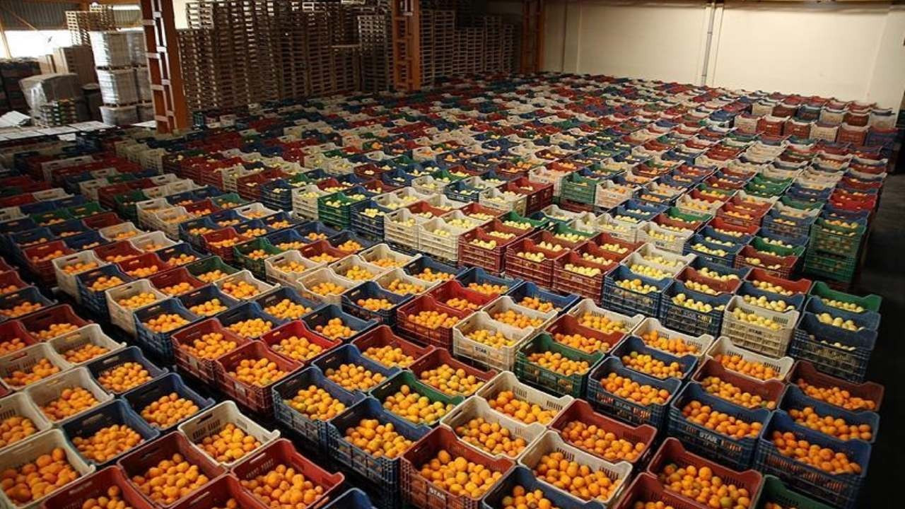 yas meyve sebze ve meyve sebze mamullerinde yeni hedef norvec RZsNhTtB.jpg