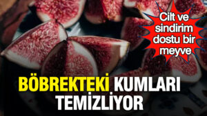 cilt-ve-sindirim-dostu-bir-meyve-bobrekteki-kumlari-temizliyor-CvujRuwX