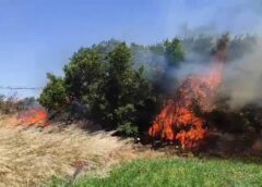 Çanakkale’de korkutan yangın! Alevler rüzgarla büyüdü